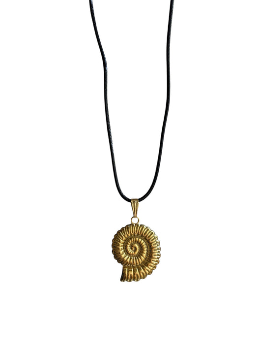 Ammonite
