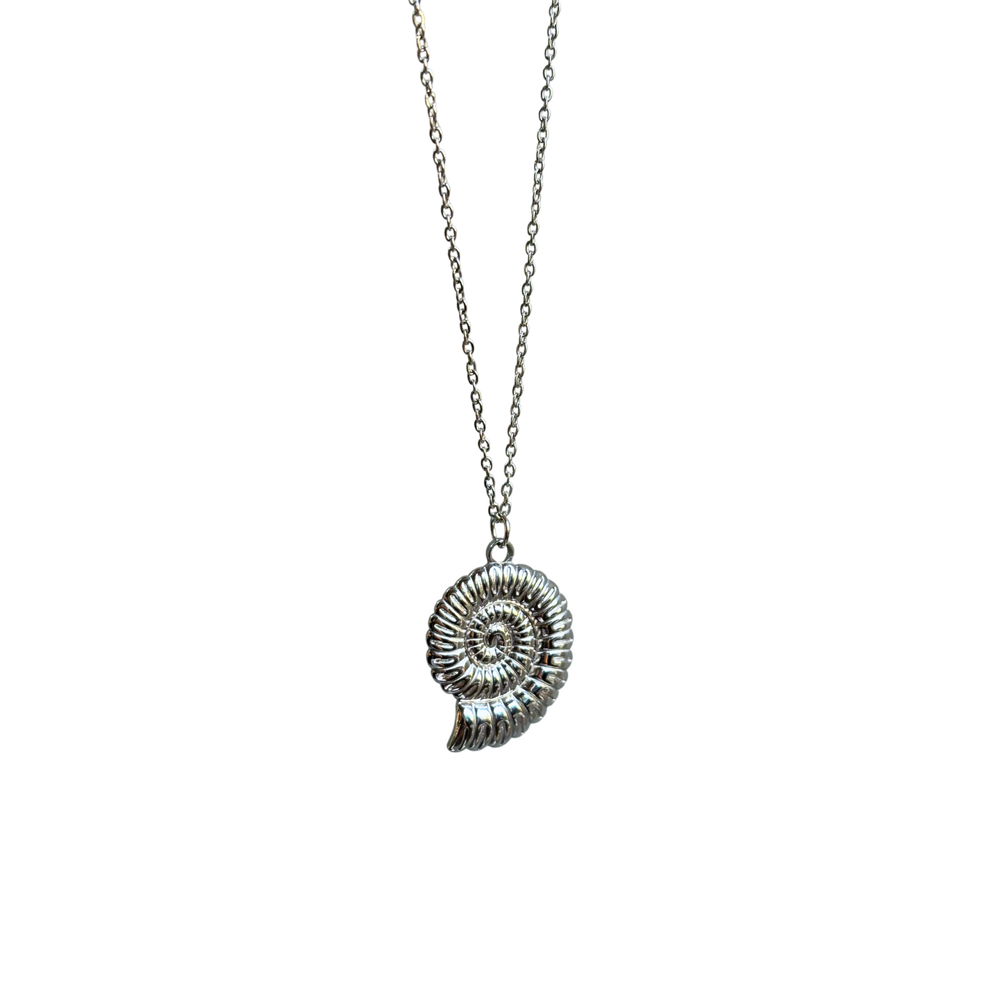 Ammonite necklace