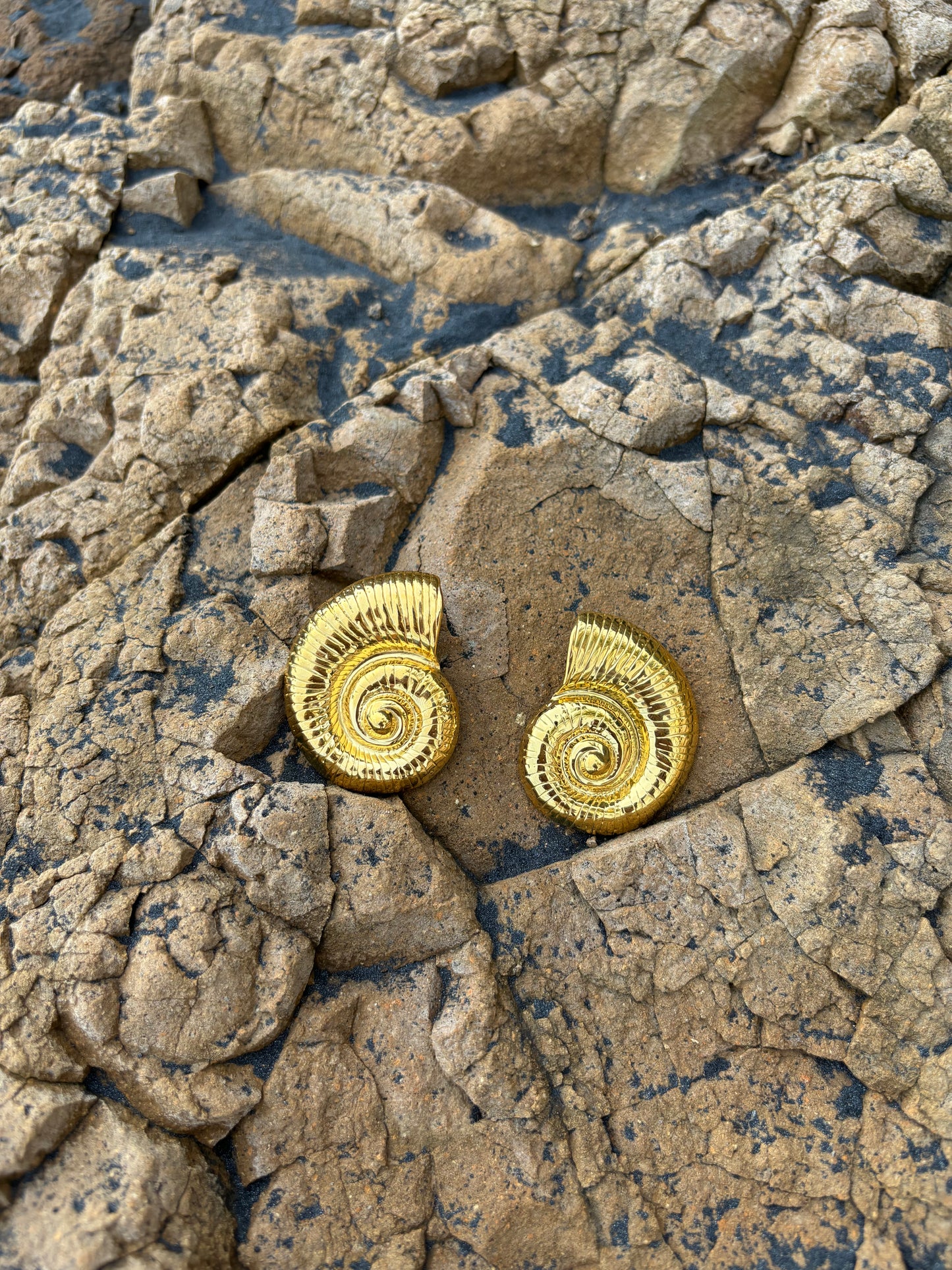 Dolce vita earrings