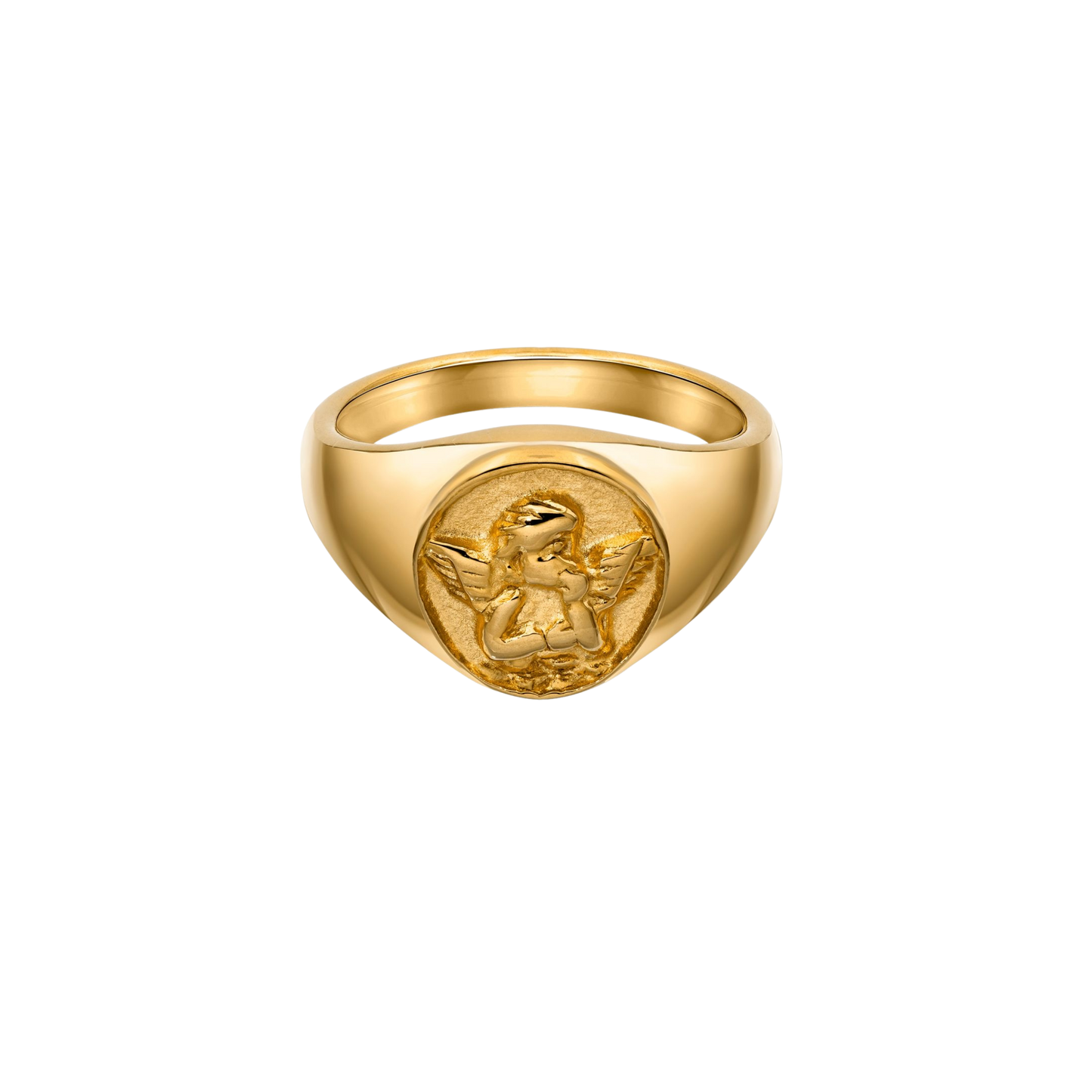 The guardian ring
