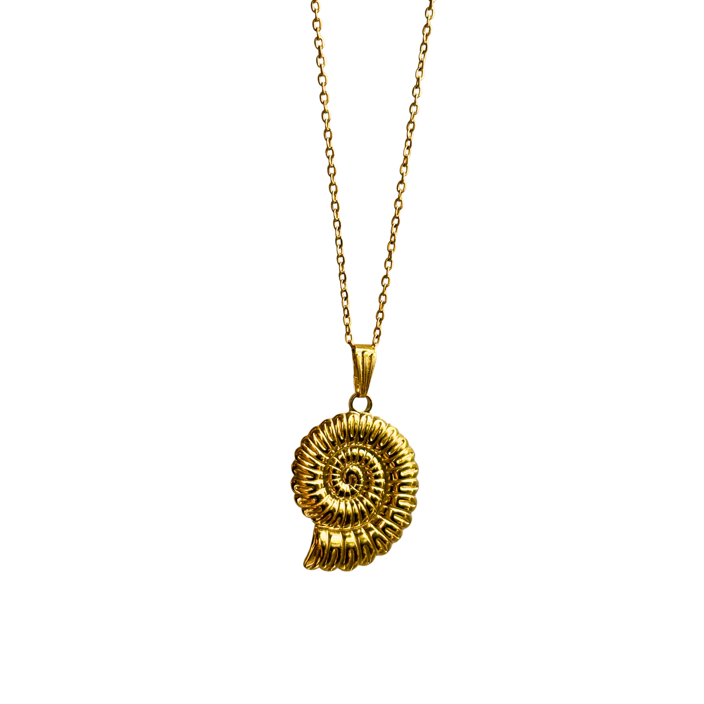 Ammonite necklace