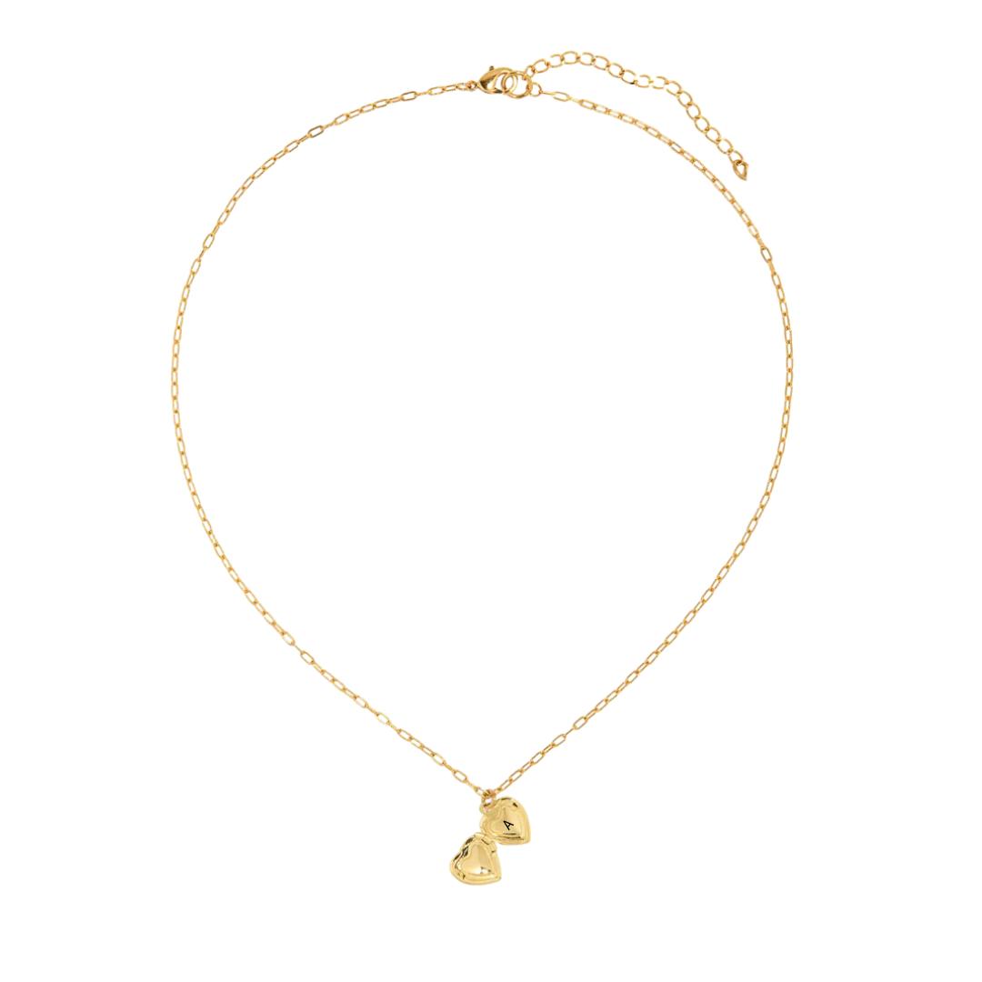 Shiny mini locket